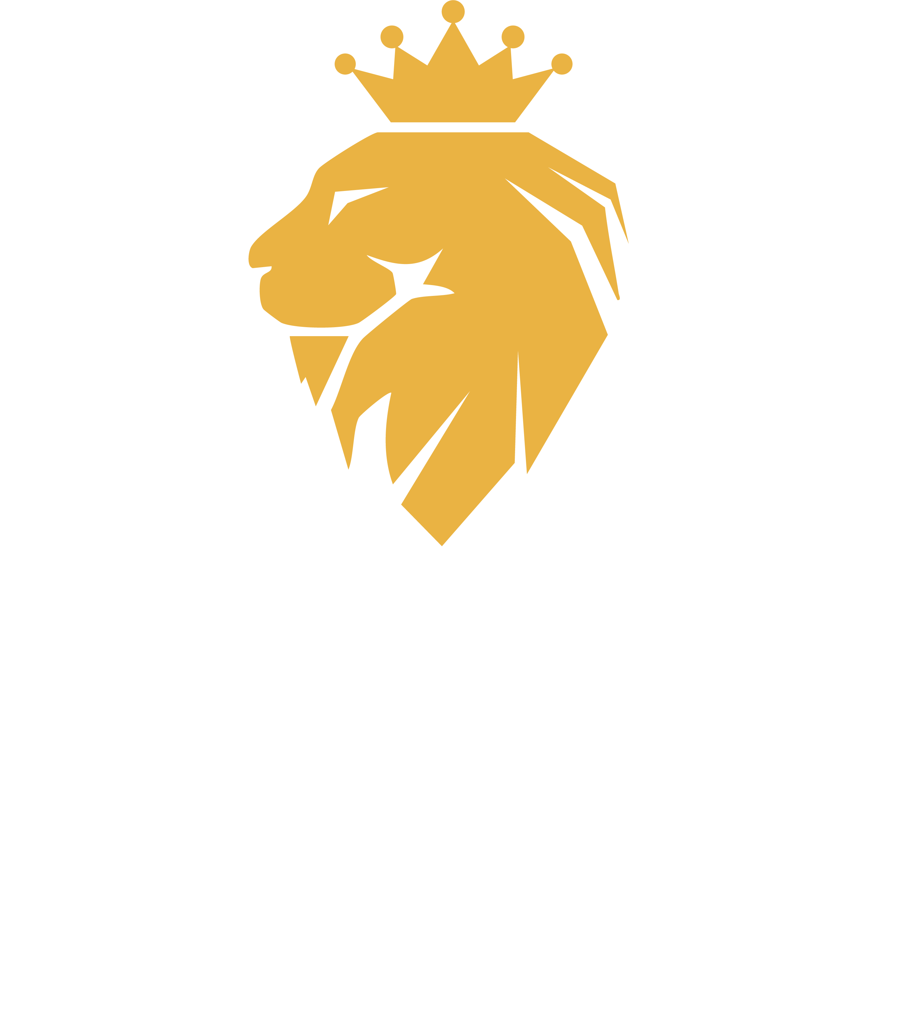 Logo Junia Finance